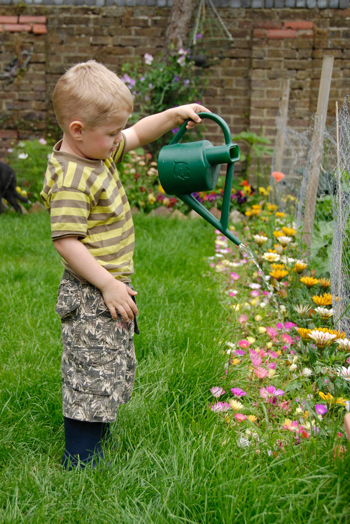 Summer Gardening Goals