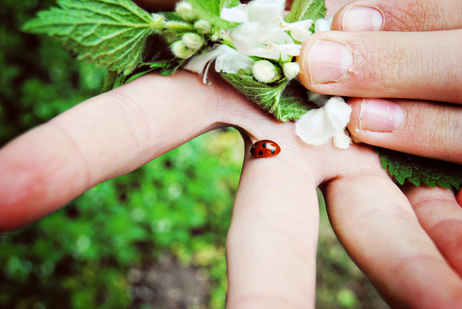 Growing (Up) in the Garden: Gardening is Great for Kids