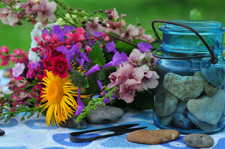 Cutting and Collecting Garden Flowers