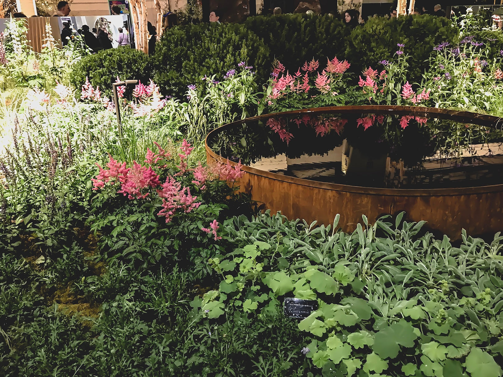 The Philadelphia Flower Show Musts!