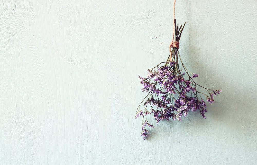 how to dry flowers