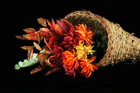 chrysanthemum flowers