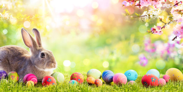 5 Surprising Things You Probably Didn't Know About Easter