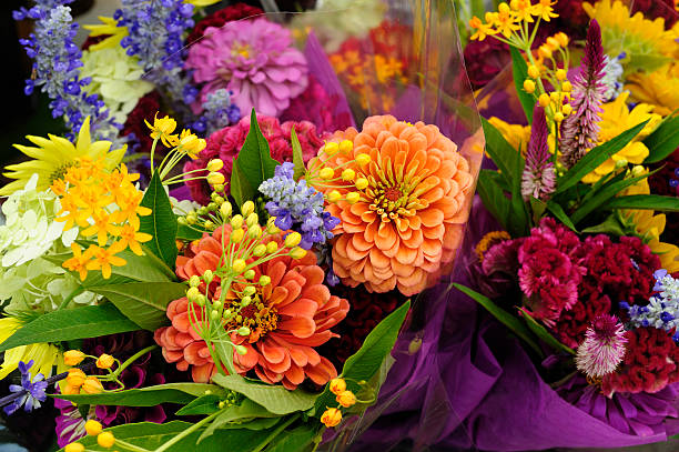 5 Captivating Flowers That Bring Joy to Every Occasion