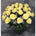 Dozen premium yellow roses arranged in a  vase with filler and greens