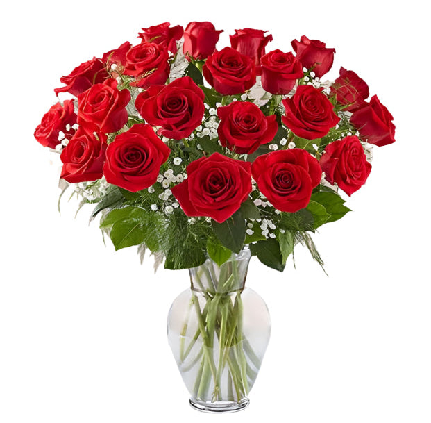 24 Premium Red Roses Arranged in a vase with filler