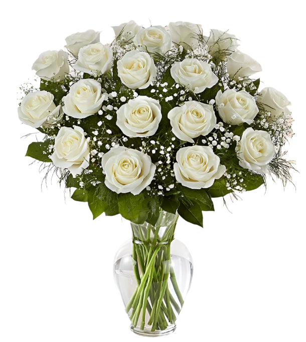 24 Premium White Roses Arranged in a vase with filler