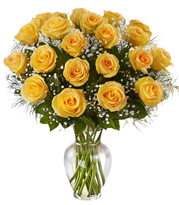 24 Premium Yellow Roses Arranged in a vase with filler