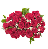 2 dozen roses for valentines day free delivery