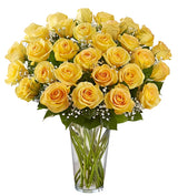 36 Premium Yellow Roses Arranged in a vase with filler