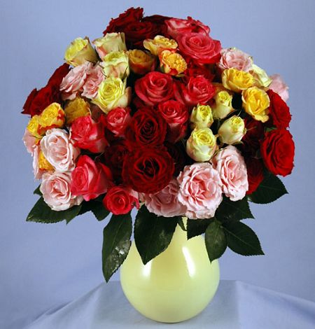 50 blooms of Spray Roses in a bouquet