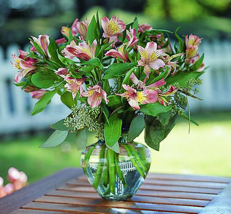 Alstroemeria in a Vase