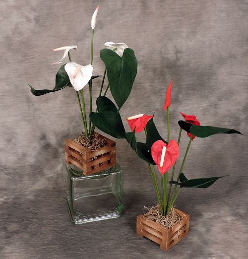 Artificial Anthurium Planter