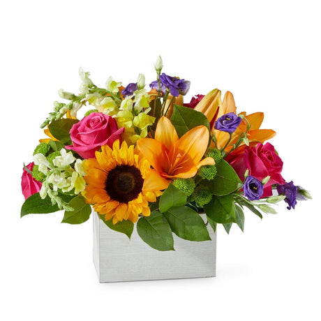 Best Day Box Bouquet - Premium