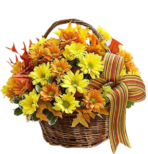 Fall Daisy Basket of yellow and bronze daisies Large