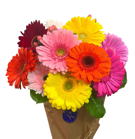 Gerbera Daisy Bouquet