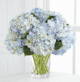 Joyful Inspiration Bouquet of blue hydrangea in Vera Wang Vase Large