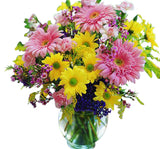 Pink and yellow daisies in vase with filler and greens Medium