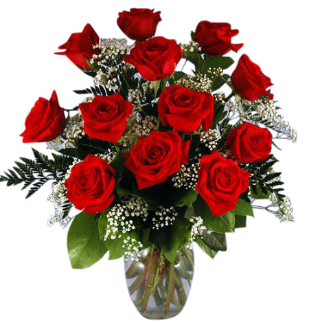 One dozen red roses wrapped bouquet with babies breath