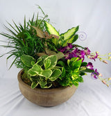 Premium dish garden planter with fresh flowers in stone pot