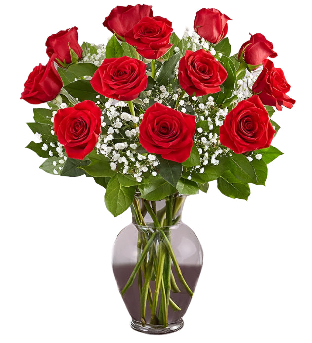 Premium Dozen Red Roses Arranged With Filler