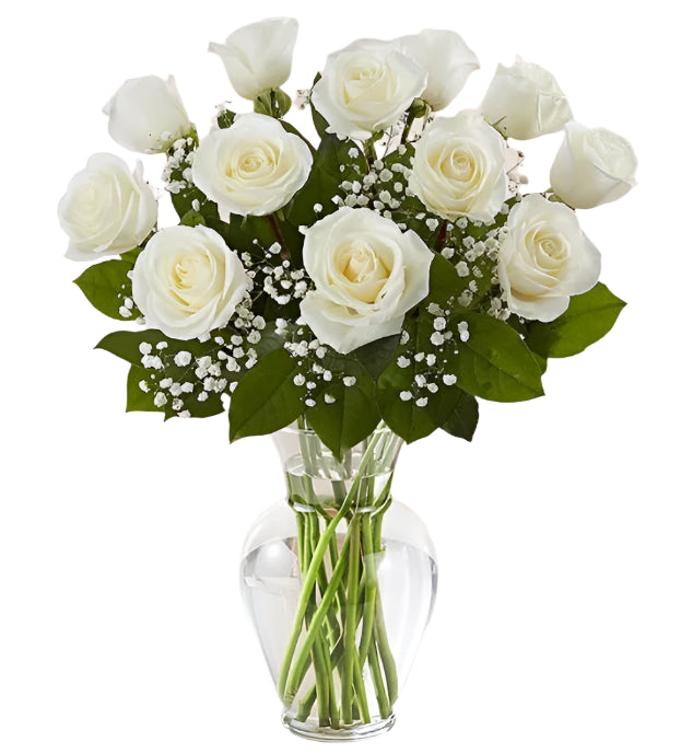 Dozen premium long stem white roses arranged in vase with filler