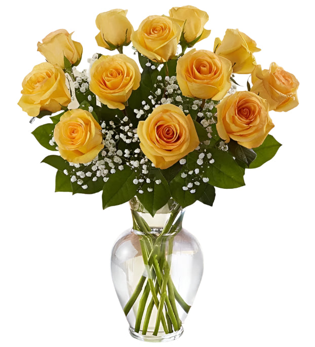 Dozen premium long stem yellow roses arranged in vase with filler