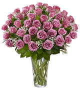 48 Premium Lavender Roses Arranged in a vase with filler