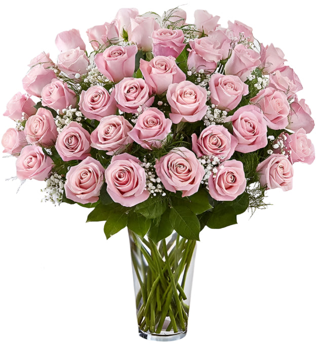 48 Premium Pink Roses Arranged in a vase with filler