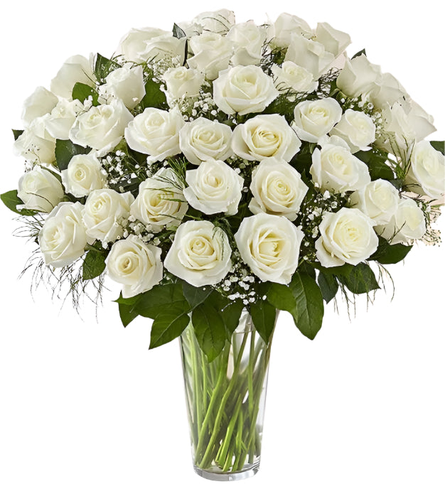 48 Premium White Roses Arranged in a vase with filler