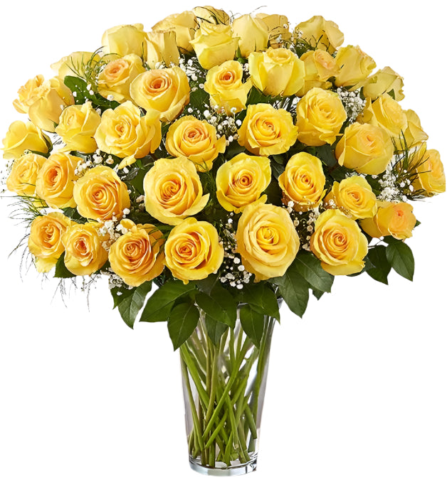 Premium Yellow Roses Arranged in a vase with filler