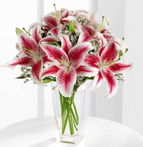 Pretty pink stargazer lilies in vase Large