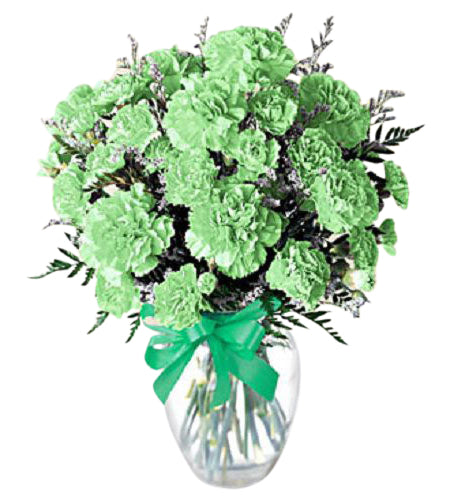 St Paddy's day green carnations in a vase