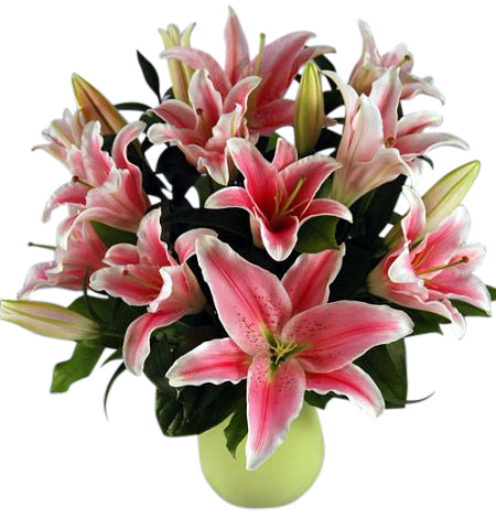 Stargazer Lilies in a wrapped bouquet