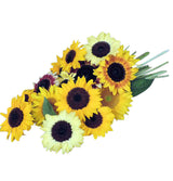 Summer sunflower special wrapped bouquet