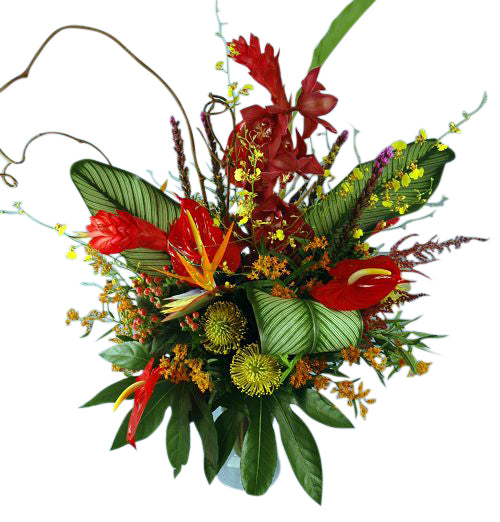 Tropical Eruption exotic flower arrangement of anthurium, orchids, protea and ginger