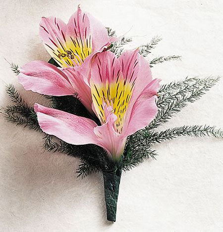 Double peruvian lily boutonniere