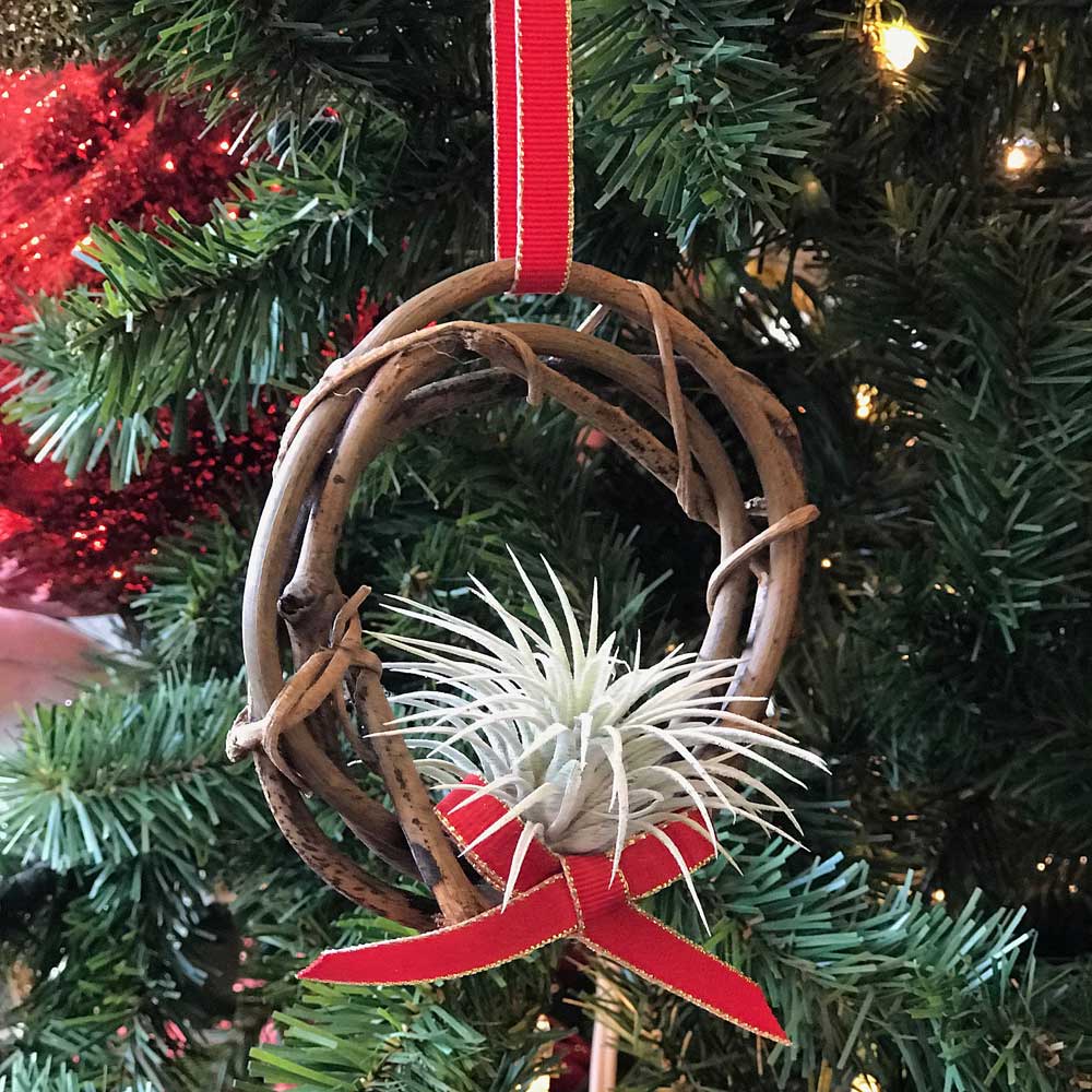 Air Plant Christmas Wreath Ornament