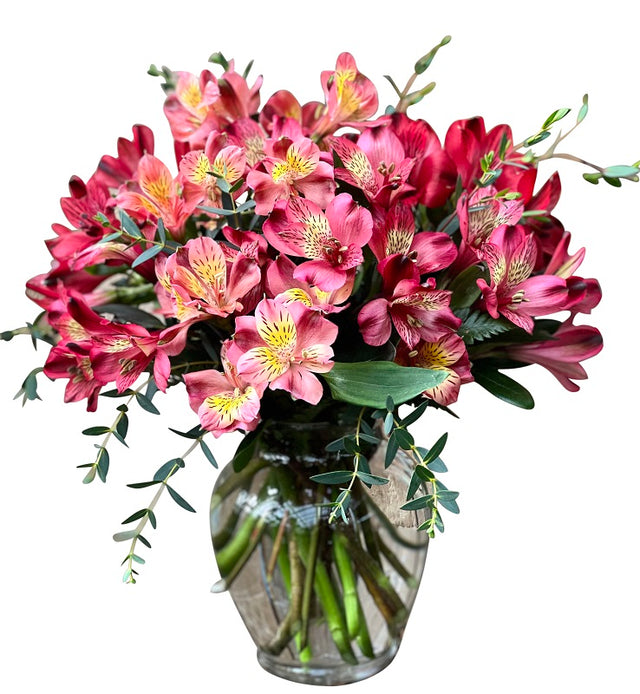 Alstroemeria in a Vase