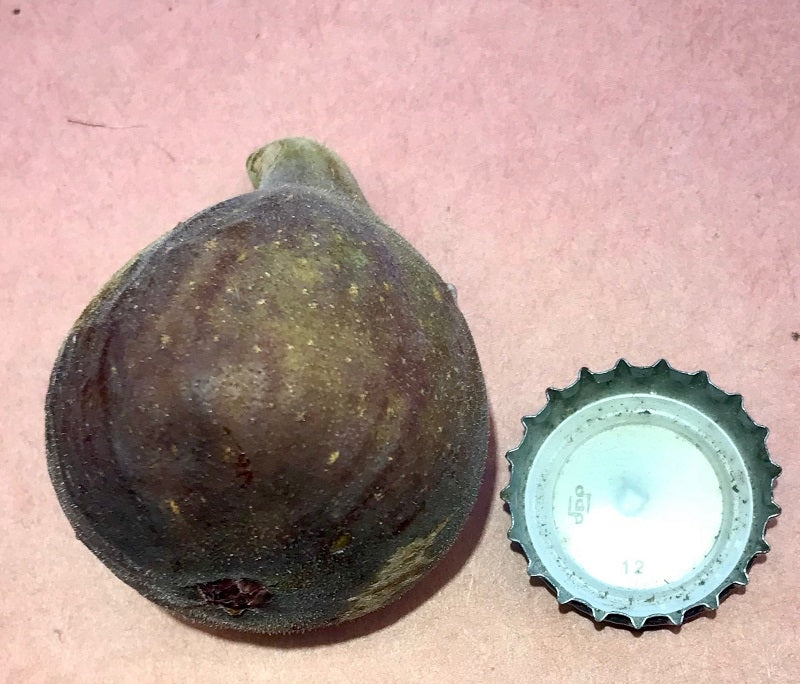 Whole Angelos Dark Sicilian Mt Etna Fig