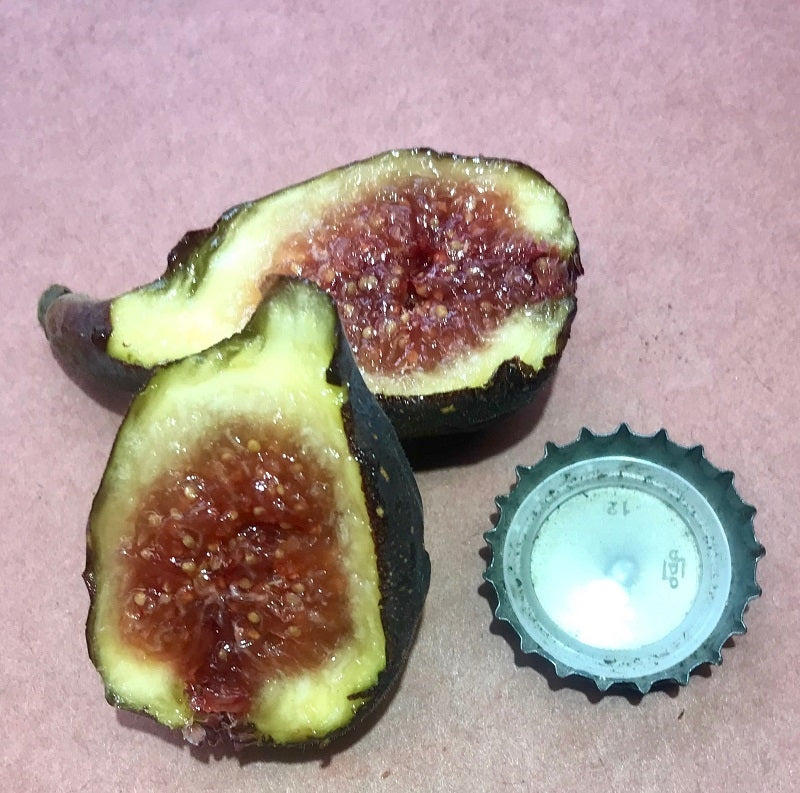 Angelos Dark Sicilian Mt Etna Fig sliced