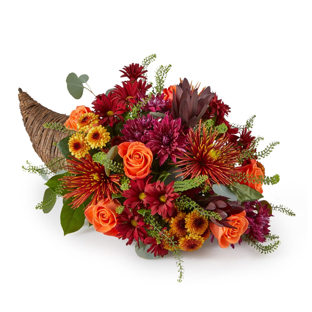 Autumn Herald Cornucopia Premium