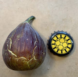 Azores Dark Fig