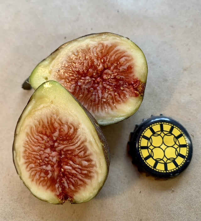 Azores Dark Fig Fruit