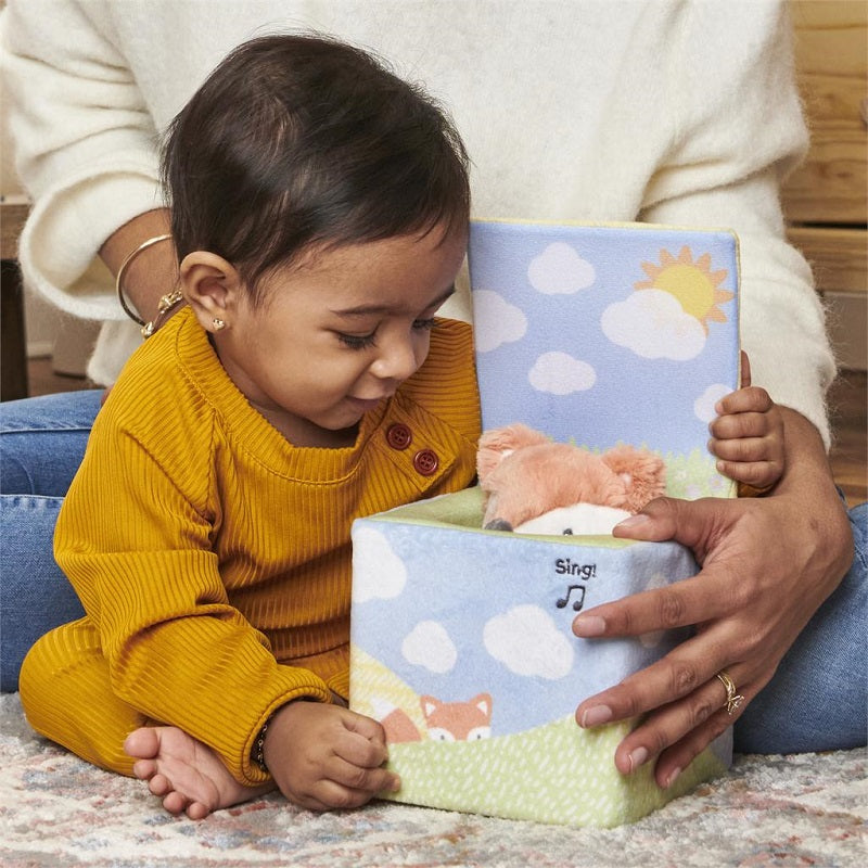 Baby Playing With Fox In A Box