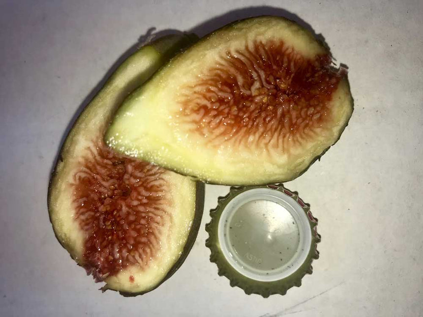 Bari Fig cut in half