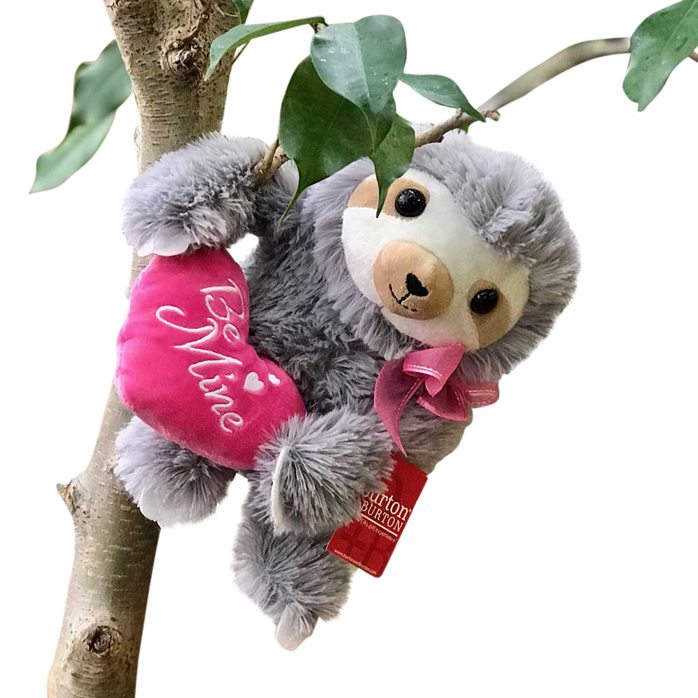 Be Mine Sloth