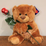 Beary Sweet plush bear with single chocolate rose