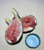 Bec de Perdiu Fig Fruit