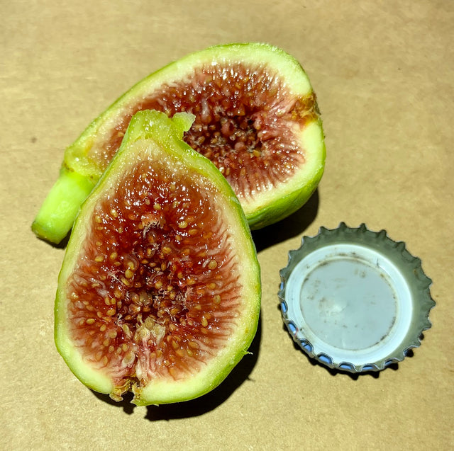 Beltrana Fig Fruit